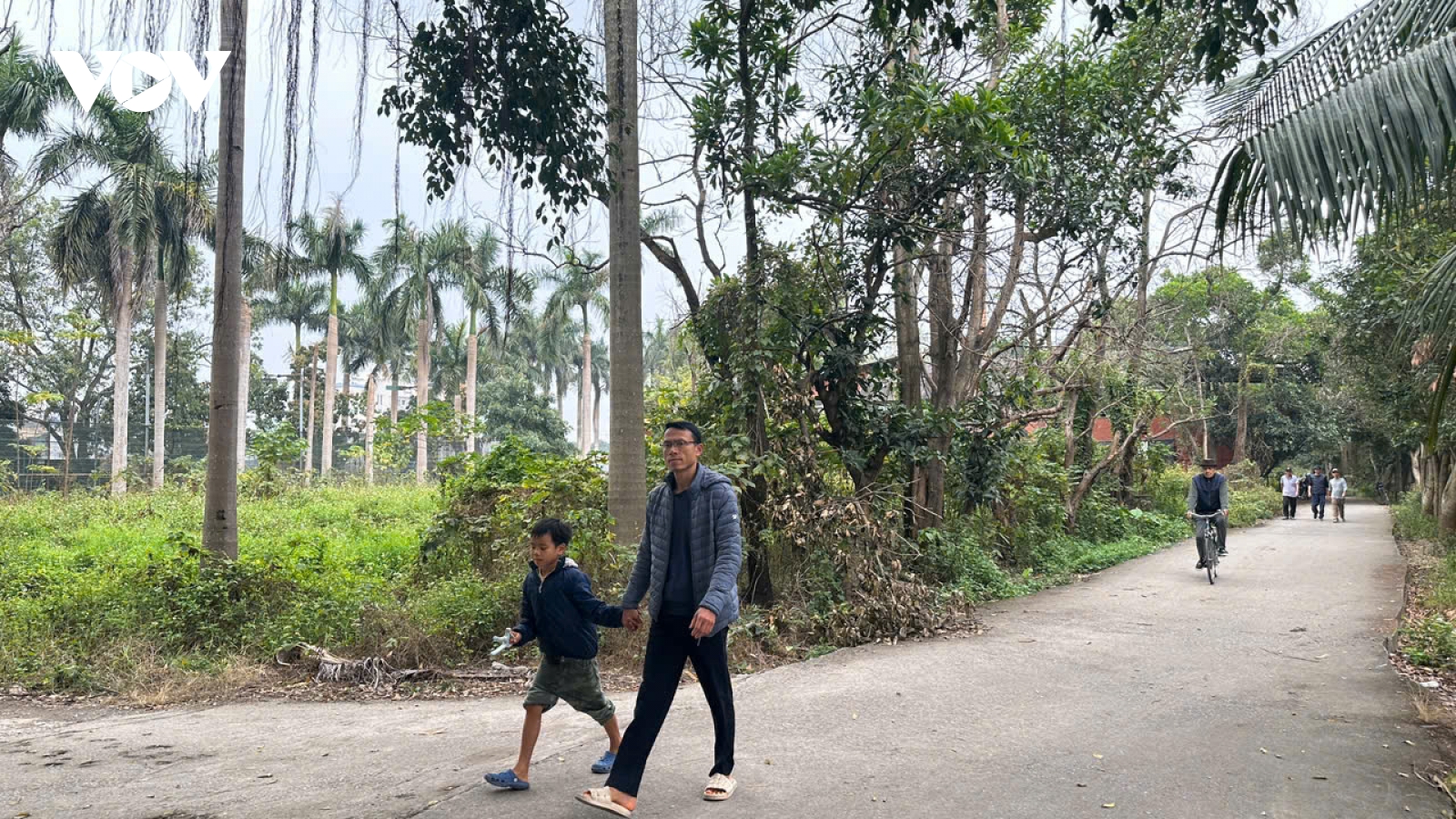 Công viên sinh thái Vĩnh Hưng bỏ hoang, ô nhiễm, lãng phí